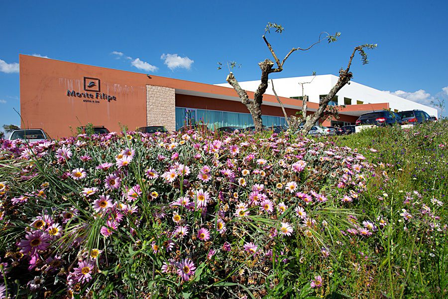 Monte Filipe Hotel Alpalhão Eksteriør billede